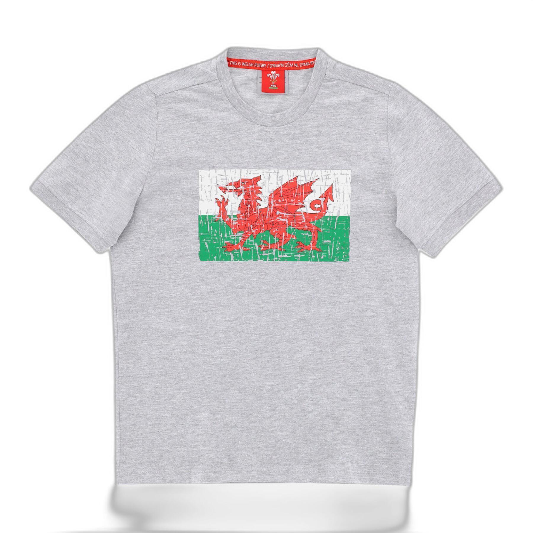 Koszulka dziecięca Pays de Galles Rugby XV 2020/21