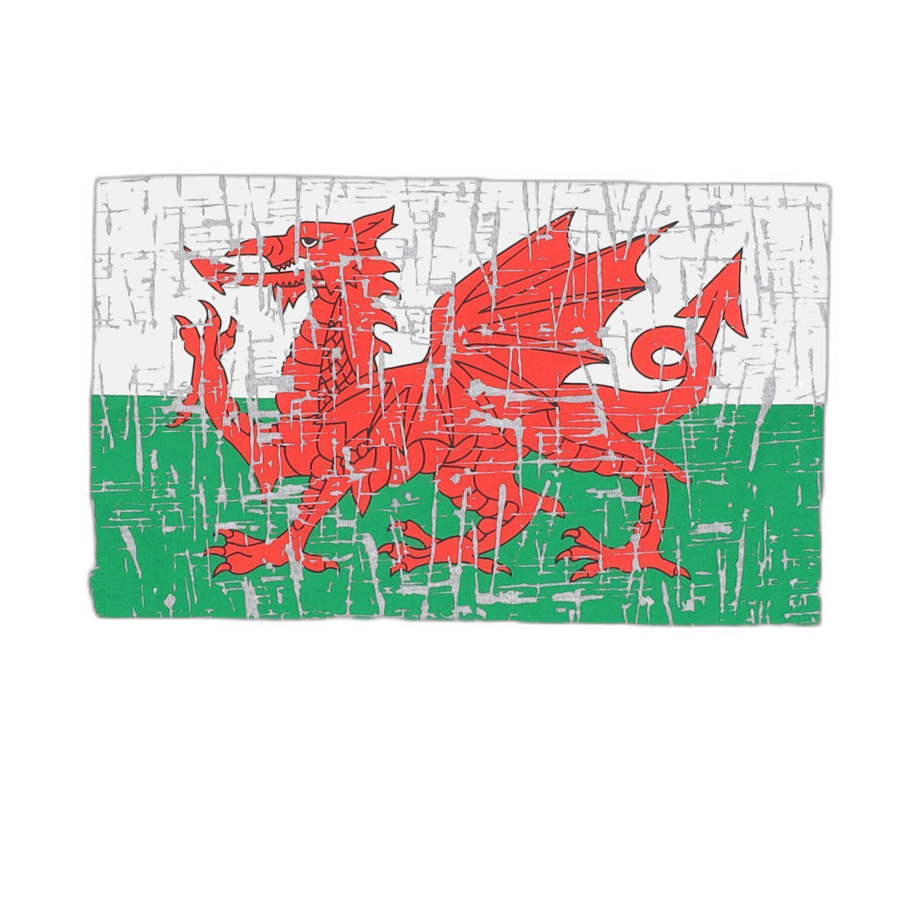 Koszulka dziecięca Pays de Galles Rugby XV 2020/21
