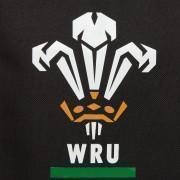 Torba Pays de Galles rugby 2020/21