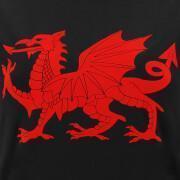 Koszulka damska Pays de Galles Rugby XV 2020/21