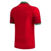 Koszulka domowa Pays de Galles XV 2022/23 7S RWC